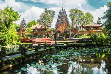 Private Ubud Tour: Swing, Temple, Monkey Forest & Waterfall