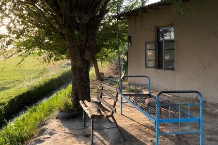 Samarkand Village Tour with Homemade Dinner & Local Snacks