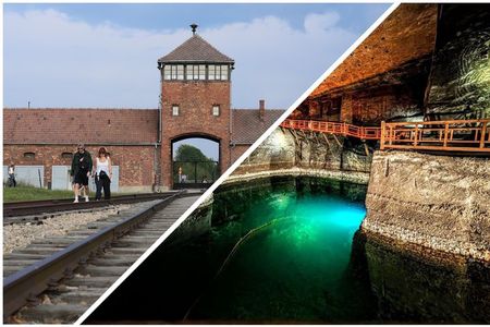 Auschwitz Birkenau and Salt Mine from Krakow