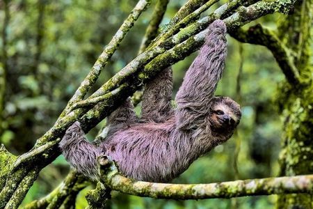 Hiking in the Tijuca Forest : Waterfalls and Caves