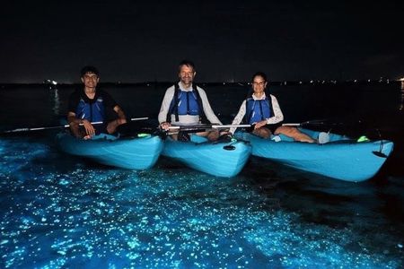 Kayak Tours and Rentals. Dolphins, Manatees, and Bioluminescence!