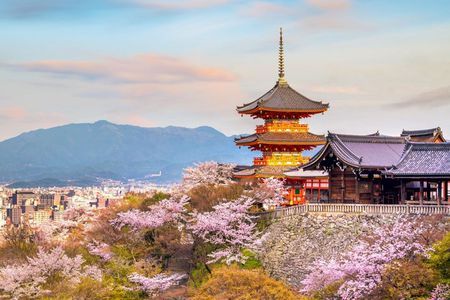 Best of Kyoto and Nara Highlights Day Tour from Osaka (7~9 spots)