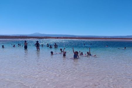 Tour of Cejar Lagoon and Eyes of the Salt Lake and Tebinquiche Lagoon