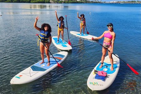 Paddleboard Adventure: Explore Marine Life in Condado Lagoon