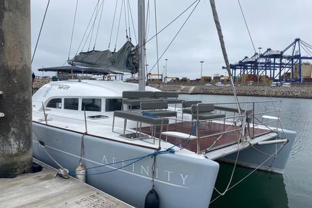 Dolphin & Seal Boat Cruise 