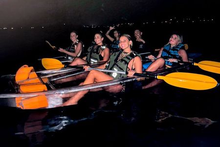 Biobay Vieques Tour Kayak Night Tour