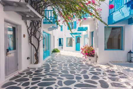 Private Mykonos The Full Island Experience