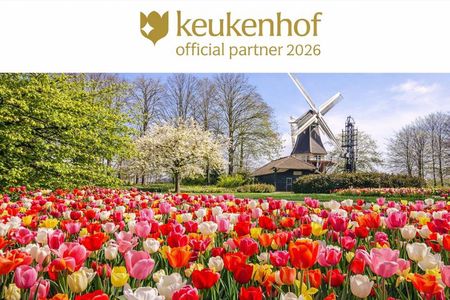 Amsterdam: Keukenhof Entry & Shuttle Bus with Flexible Return