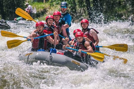 The Numbers 1/2 Day Rafting Trip - Buena Vista