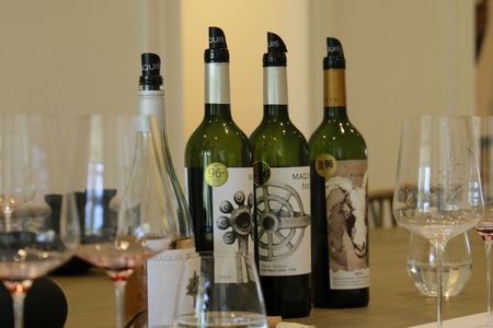 Valley of Colchagua Montes Vineyard and Maquis Vineyard
