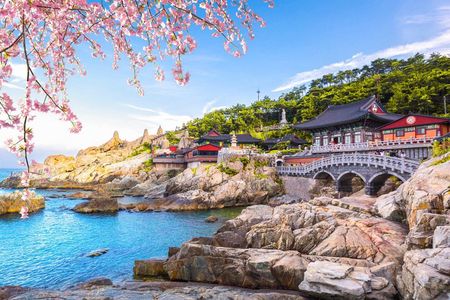 Authentic Busan Full-Day City Highlights Tour