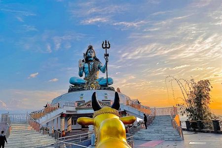 Pokhara City Sightseeing and Top View Point Tour Private orGroup
