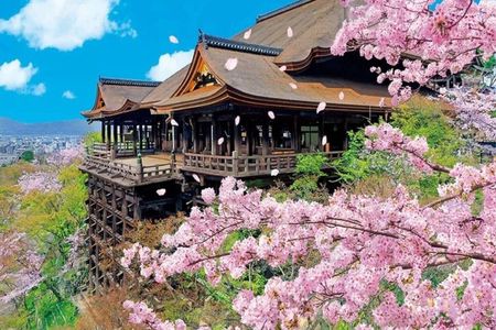 Kyoto Private Hightlights Customizable Tour&English Driver Guide