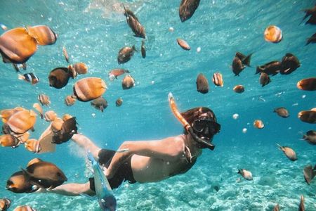 Snorkeling at Blue Lagoon Bali with Waterfall, Swing, Atv