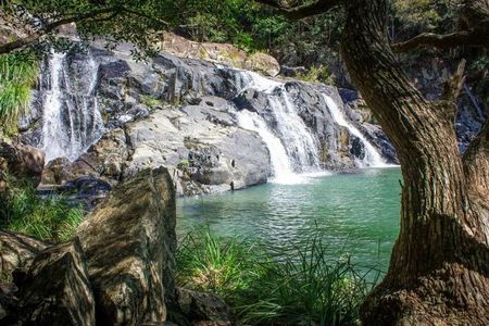 Private 4WD Rainforest Adventure in Booloumba Falls / Creek