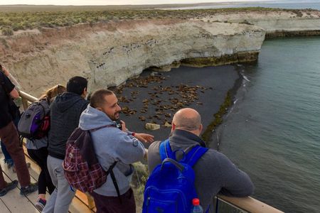 Shore Tour Punta Loma & city tour cruise passengers Puerto Madryn