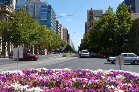 Best of Adelaide- City Highlights (half-day Tour)