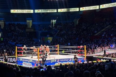 Lucha Libre Experience in Mexico City
