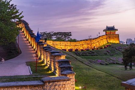 Flexible Seoul Surroundings Private Tour(DMZ, Nami Island, Suwon)