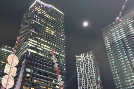 Tokyo: Shibuya Private Highlights and Hidden Gem Walking Tour