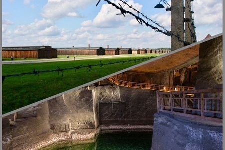 Auschwitz & Wieliczka ONE DAY Guided Tour +Private Transportation