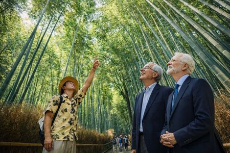 Kyoto Arashiyama Bamboo Grove Morning Walk with Matcha