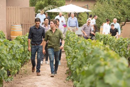 Huarpe Winery Experience & Lunch at Lagarde. Private Transfer