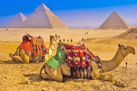 Suez Port: Private Shore Excursion to Giza Pyramids & Sphinx
