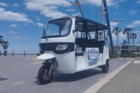 Tour Tuktuk Valencia 2H shared