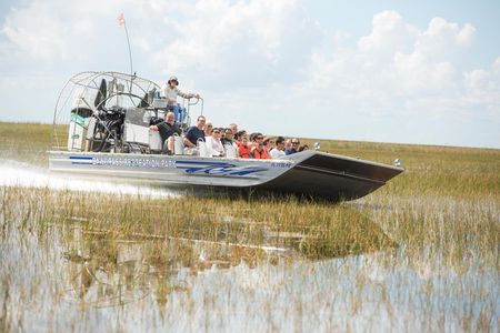 Miami Everglades Experience Airboat Ride, Wildlife Show