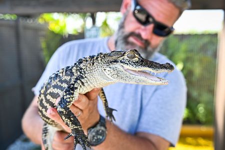 Panoramic Open-Top City Tour and Sightseeing Cruise