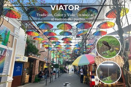 Shared City Tour in Puerto Plata and Countryside