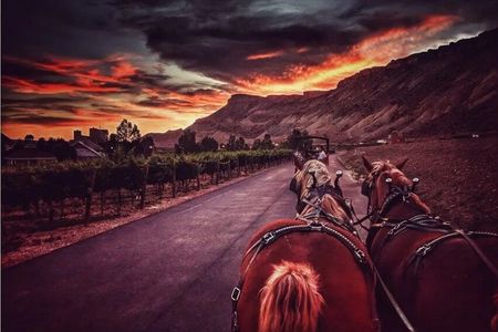 Horse Drawn Sunset Tour in Colorado