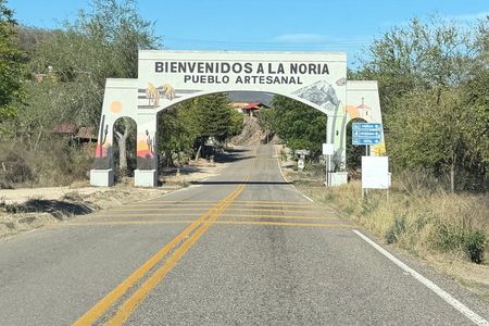 Half Day Tequila Distillery Tour