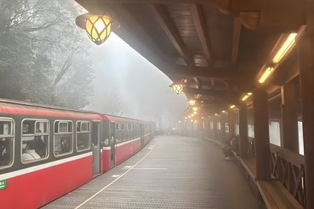 Alishan Join-in Day Tour from Chiayi (Incl. Park Entrance)