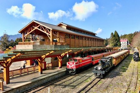 Alishan Private Day Tour from Taichung 