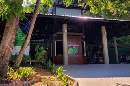 Private Tour in Manaus: Amazonian Science Forest and Theatre