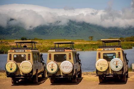 6 Day Private Camping Safari in Tanzania from Kilimanjaro Airport