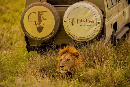 7 day Private Camping Safari In Tanzania