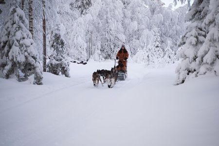 Nulkki Husky Adventure