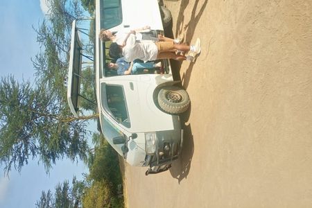 Half Day Nairobi National Park Tour with Options