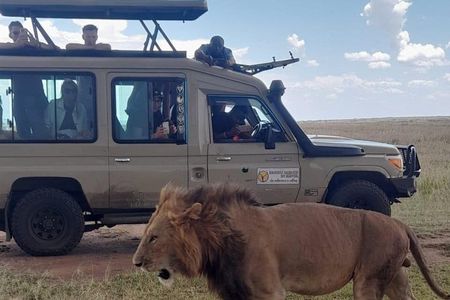 Half Day Nairobi National Park Safari Tour 