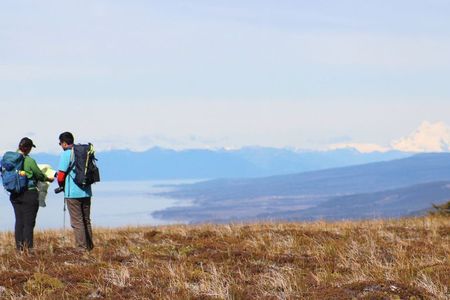 Private Half-Day Patagonian Forest Hike in Punta Arenas