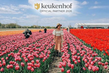 Amsterdam: Day trip to Tulip Farm, Keukenhof + Windmill Cruise