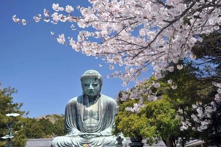 Kamakura Day Tour