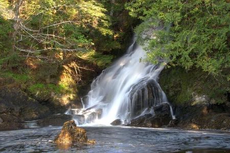 Scenic and Wildlife Tour