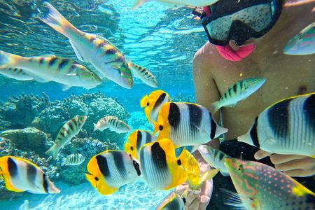 Taha’a Cruise Ship Tour – Vanilla Farm & Coral Garden (small grp)