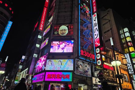 Tokyo After 10pm: Fully Customizable Private Night Tour