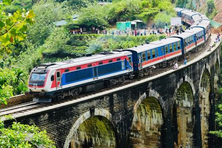 Day Tour at Sri Lanka Elephant Transit , Train Ride and Nine arch