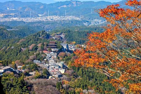 Explore the Sacred Past of Mount Yoshino from Osaka